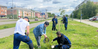 В Усолье-Сибирском высадили более ста деревьев в День эколога - Usolie.Info