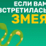 Где можно встретить змей в Липецкой области - LipetskMedia.Ru