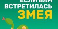 Где можно встретить змей в Липецкой области - LipetskMedia.Ru