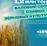 Урожай озимых зерновых культур в Тульской области вырос на 15% - ТК Первый Тульский