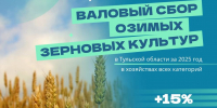 Урожай озимых зерновых культур в Тульской области вырос на 15% - ТК Первый Тульский