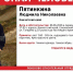 Поиски Людмилы Пятинкиной продолжаются ПСО &quotДоброволец&quot - KamchatkaMedia.Ru