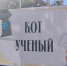 «Пушкин в Пушкинке»: праздник в честь великого поэта состоялся - Библиотека им. А.С. Пушкина