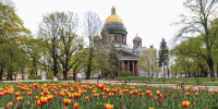 В Санкт-Петербурге 8 июня ожидается до +24 градусов - Spbdnevnik.ru