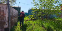 МЧС продолжает поиск пропавшей пенсионерки. ГУ МЧС по Камчатскому краю - ИА Камчатка