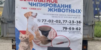 Бесплатный чип у дома: южносахалинцы продолжают регистрировать питомцев - News.Astv.Ru