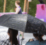С какой погоды в Челябинской области начнётся вторая неделя лета, рассказали синоптики - Pchela.News