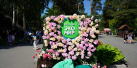 Более 13 тысяч человек посетили экофестиваль в Новосибирске - 1-LINE