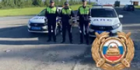 На трассах Башкирии проходят сплошные проверки - Башинформ
