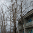 img - ЛДПР