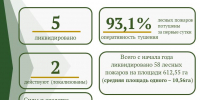 За минувшую неделю в Томской области произошло 20 лесных пожаров - Администрация Томской области