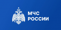 Огненный вихрь: как тополиный пух может стать причиной пожара - Газета Знамя