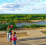 Лето без перегибов - Chepetsk.ru