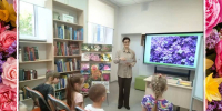 Литературная клумба «Красота с лепестками» - ЦГБС г. Камышин