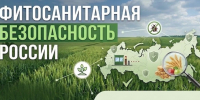 95 лет со дня создания Государственной службы карантина растений - Журнал Сельскохозяйственные Вести