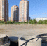 Парк «Тайга» скоро появится возле арены «Ерофей» в Хабаровске - Gubernia.Com