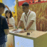 Забайкальцы показали свою продукцию на выставке зерна и масел в Китае - Забайкальский рабочий