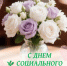 Поздравление Ольги Назаревич, начальника Департамента социальной защиты населения Томской области, с Днем социального работника - Департамент соцзащиты населения