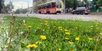 На Бурятию надвигается 30-градусная жара - ИА Байкал-Daily