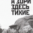 Обзор повести Бориса Васильева «А Зори здесь тихие…» - ЦБС Ашинского района