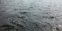 Водолазы ищут утонувшего человека в Нижегородской области - ИА Нижний сейчас