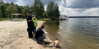 JPEG Файл - МО МВД "Заречный" 