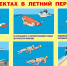 Безопасность на водоёмах в летний период. Основные правила безопасности поведения на воде» - Сеченовский муниципальный округ