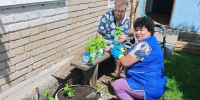 День добрых дел - Варненский район