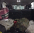 Трое мужчин пойдут под суд за незаконную охоту - Сибкрай.ru