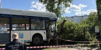 Стало известно состояние пассажиров врезавшегося в дерево автобуса и детей, попавших в ДТП на окраине Саратова - ИА Версия-Саратов