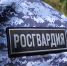 Тамбовские росгвардейцы за неделю около 80 раз выезжали по тревоге - OnlineTambov.Ru