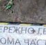 SHOT - Вологда-поиск