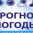 Метеорологический прогноз на 09.06.2026 г. - Венгеровский район