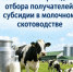 Объявление о проведении отбора получателей субсидии на поддержание приоритетных направлений агропромышленного комплекса (поддержание доходности сельскохозяйственных товаропроизводителей в молочном скотоводстве) - Министерство сельского хозяйства