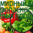 7 июня 2026 года отмечается Всемирный день безопасности пищевых продуктов. Девиз дня: «Безопасность пищевых продуктов — дело каждого». - Мечетлинский район