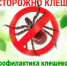 Памятка: профилактика клещевого вирусного энцефалита и клещевого боррелиоза - Бековский район