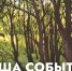 Афиша событий Музея изобразительных искусств (9 июня – 14 июня) - Музей изобразительных искусств