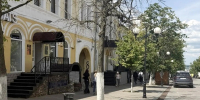 На улице Московской в Пензе спилят сухие деревья - ИА PenzaNews