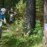 Велоориентировщики разыграли Кубок MTB-O-Tour-2026 - Газета Навигатор