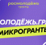 В Вологодской области стартовал прием заявок на конкурс «Росмолодёжь.Микрогранты» - Министерство молодежной политики