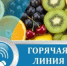 С 1 июня по 30 июня 2026 года на территории Усть-Илимска проводится месячник качества и безопасности овощей и фруктов - Администрация г. Усть-Илимск