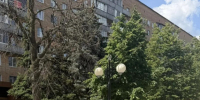 В центре Пензы спилят аварийные деревья - Пенза-Обзор
