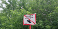 Купание на «диких» пляжах опасно!. - Администрация