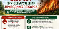 Действия при обнаружении природного пожара.. - Новоузенский район