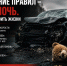 1.png - ОМВД Колпинского района 