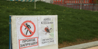 В Тульской области заболеваемость боррелиозом за последние годы выросла в 4 раза - ИА Тульская служба новостей
