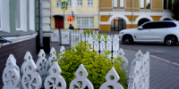 Спирея японская украсила территорию перед Администрацией города Вологды - Вологда.РФ