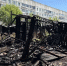 Поджог в Ярославле: сгорели 16 хозпостроек и лесной массив_317270 - YarCube.Ru
