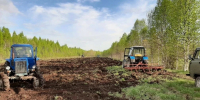 В Вологодской области засеивают кормовые поля для диких животных - Правительство Вологодской области