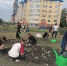 Высадили цветочную рассаду. - ТОС Омска